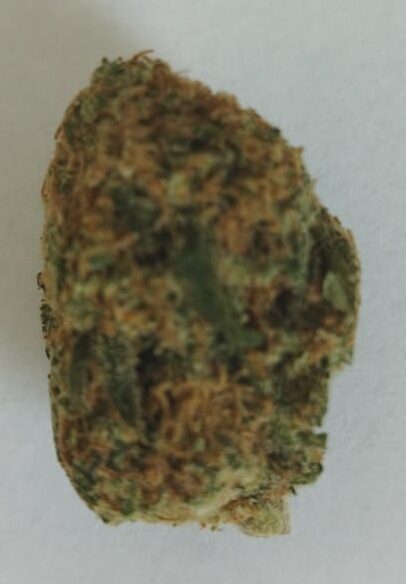 CBD Hanfblüten SWAZI GOLD – Goldene Klassik – natürliche Entspannung aus dem Herzen Afrikas